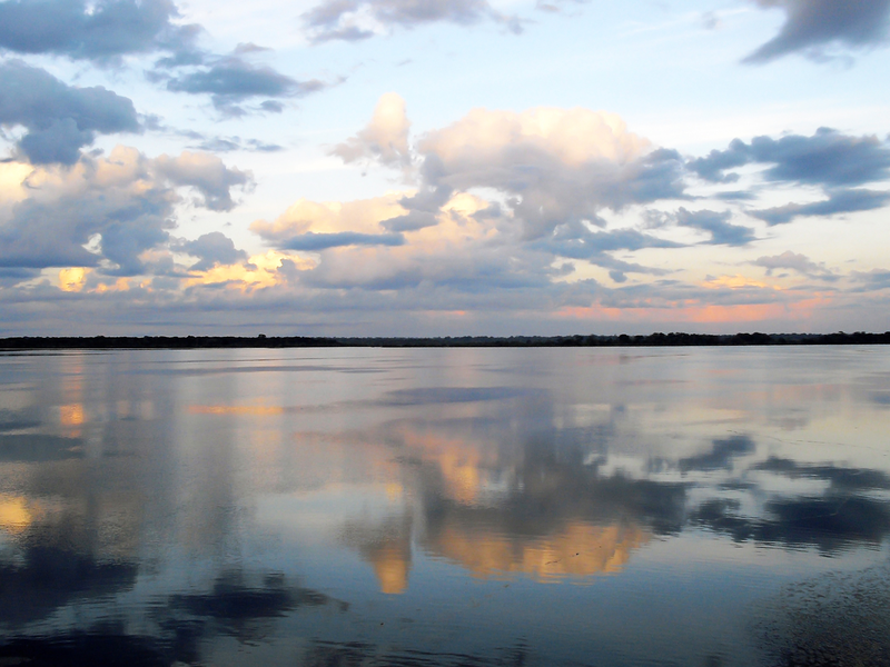 Foto 5 de Margaret Mee e a Flor da Lua