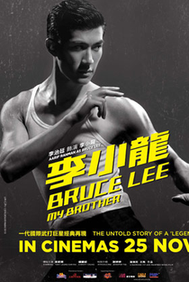 Bruce Lee: Na Perseguição do Dragão - Poster / Capa / Cartaz - Oficial 3
