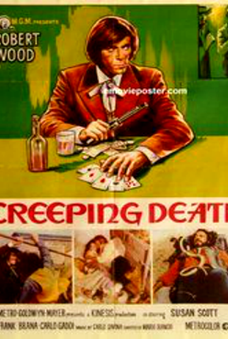 Poster 1 de Filme Ringo... Volta para Matar (1972)