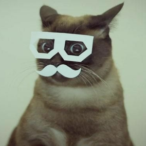 Foto de perfil de Edley