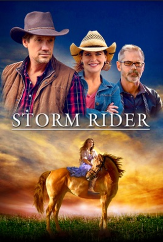 Poster 3 de Filme Storm Rider (2013)