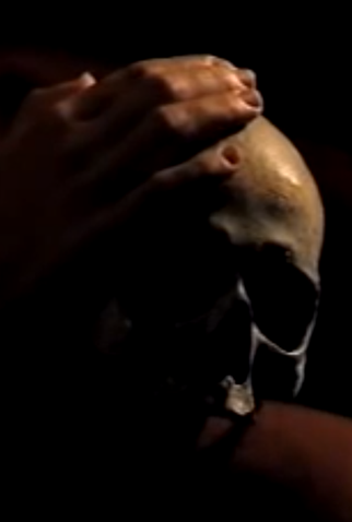 Poster 1 de Curta Oxigênio: Não Dá Para Simular (1997)