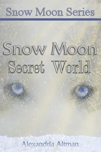 Poster de Filme The Secret World (2022)