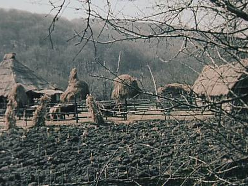 Foto 30 de Let us part while we are good     