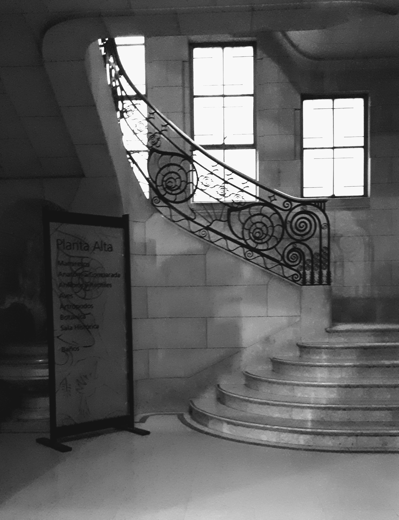 Sheyla Barbra - Foto 5