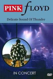 Pink Floyd: Delicate Sound Of Thunder - Poster / Capa / Cartaz - Oficial 1