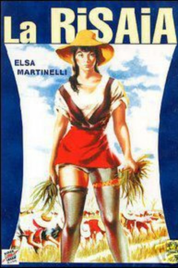 Poster de Filme Arroz Maldito (1956)