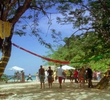 Galapagos / Jamaica