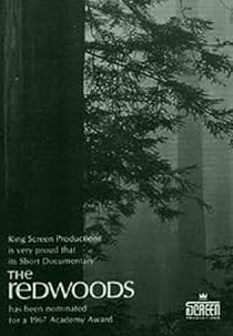 The Redwoods (The Redwoods)
