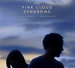 The Pink Cloud Syndrome