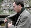 Time, Tarkovsky and The Pandemic