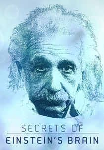 A mente de Einstein (.)