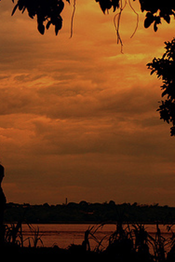 Poster de Curta Quimera (2013)