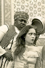 The Sultan's Wife  (The Sultan's Wife )