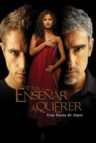 Poster 1 de TV Te voy a enseñar a querer (2004)