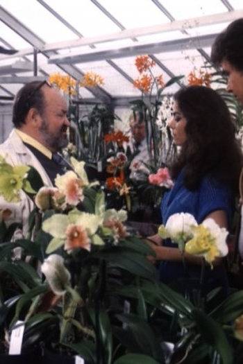 Poster de Episódio Murder by the Book (1981)