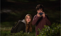 Confira 10 curiosidades sobre o filme "Cidades de Papel" (Paper Towns) – Película Criativa