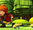 Mushroom Picking