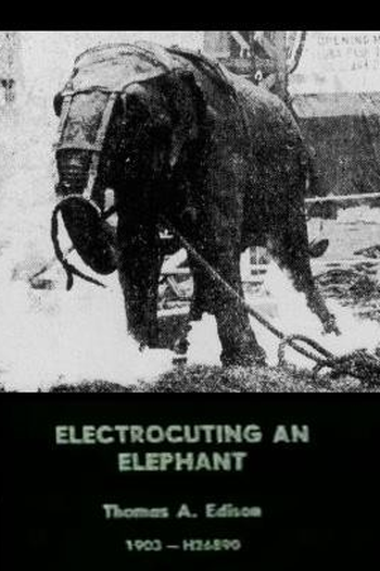 Poster de Curta Eletrocutando um Elefante (1903)