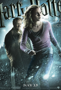 Harry Potter e o Enigma do Príncipe - Poster / Capa / Cartaz - Oficial 22