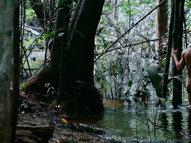 Foto 2 de A Floresta de Jonathas