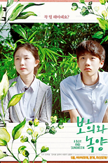 A Boy and Sungreen (Boheewa Nokyang)