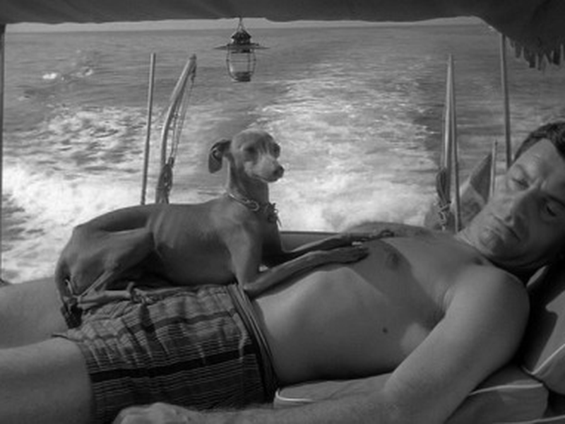 Foto 2 de A Aventura