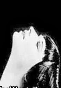 Memórias de Berlim: O Crepúsculo da Cultura de Weimar (Memories of Berlin: The Twilight of Weimar Culture)