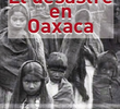 O Desastre em Oaxaca