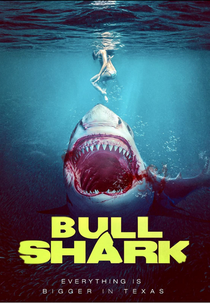 Tubarão-Touro (Bull Shark)