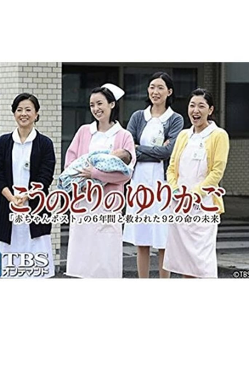 Poster de Filme The Stork Nest (2013)