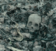 Corpus Delicti