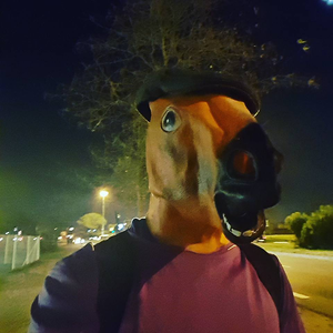 Foto de perfil de Luís Felipe