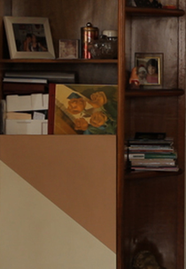 Maria da Penha: Um Caso de Litígio Internacional (Maria da Penha: Um caso de Litígio Internacional)