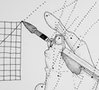 Extrapolate