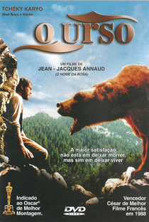 O Urso - Poster / Capa / Cartaz - Oficial 6