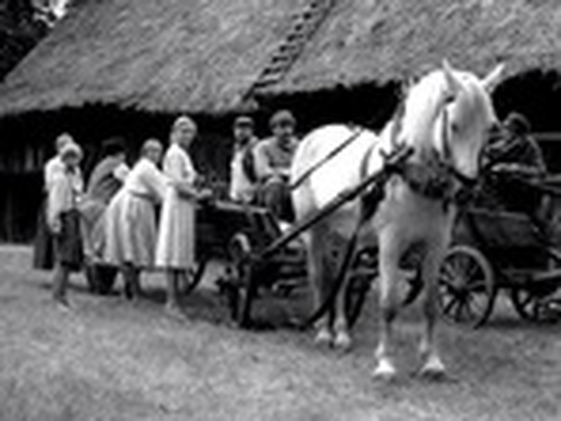 Foto 9 de Konopielka