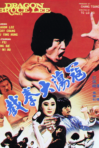 Poster 1 de Filme Dragon Bruce Lee II (1981)