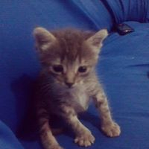 Foto de perfil de Matheus