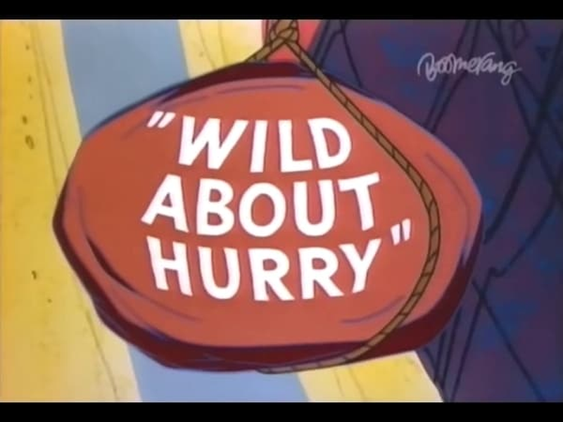 Foto 8 de Wild About Hurry