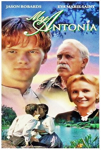 Poster 1 de Filme Dentro do Coração (1995)