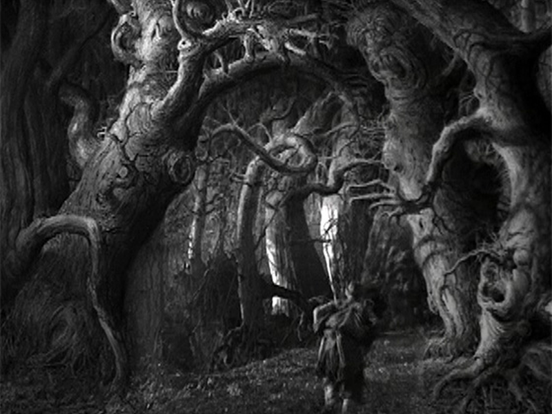 Foto 2 de A Bela Vassilissa