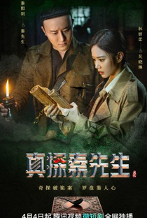 True Detective Mr. Qin - Poster / Capa / Cartaz - Oficial 1