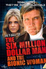 A Volta do Homem de Seis Milhões de Dólares e da Mulher Biônica (The return of the six million dollar man and the bionic woman)