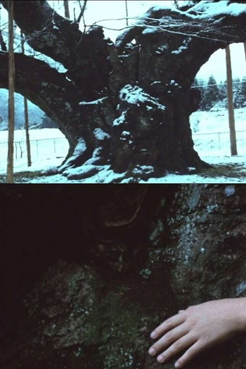 Poster de Curta The Cherry Tree with Gray Blossoms (1977)