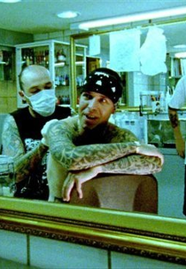 Amsterdam (Amsterdam)