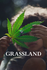 Grassland (Grassland)