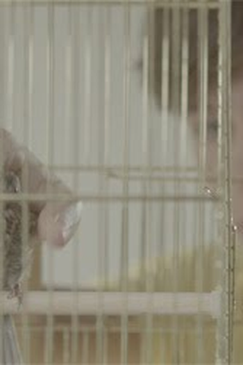  de Curta Daniël (2012)