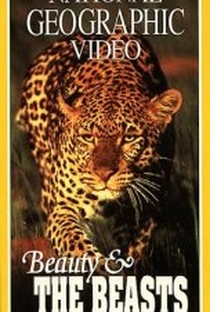 O Olho do Leopardo - Poster / Capa / Cartaz - Oficial 1