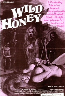 Wild Honey - Poster / Capa / Cartaz - Oficial 1